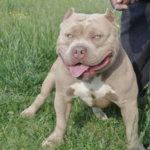 Meet your Posher, Jerrold